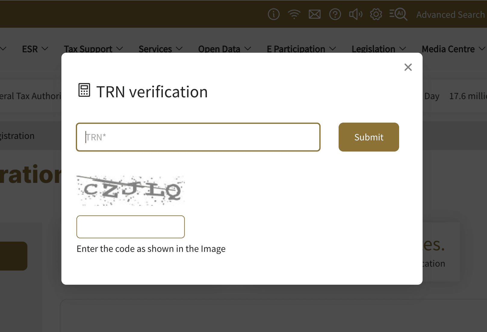 A screenshot of the TRN Verification tool from the FTA's website.