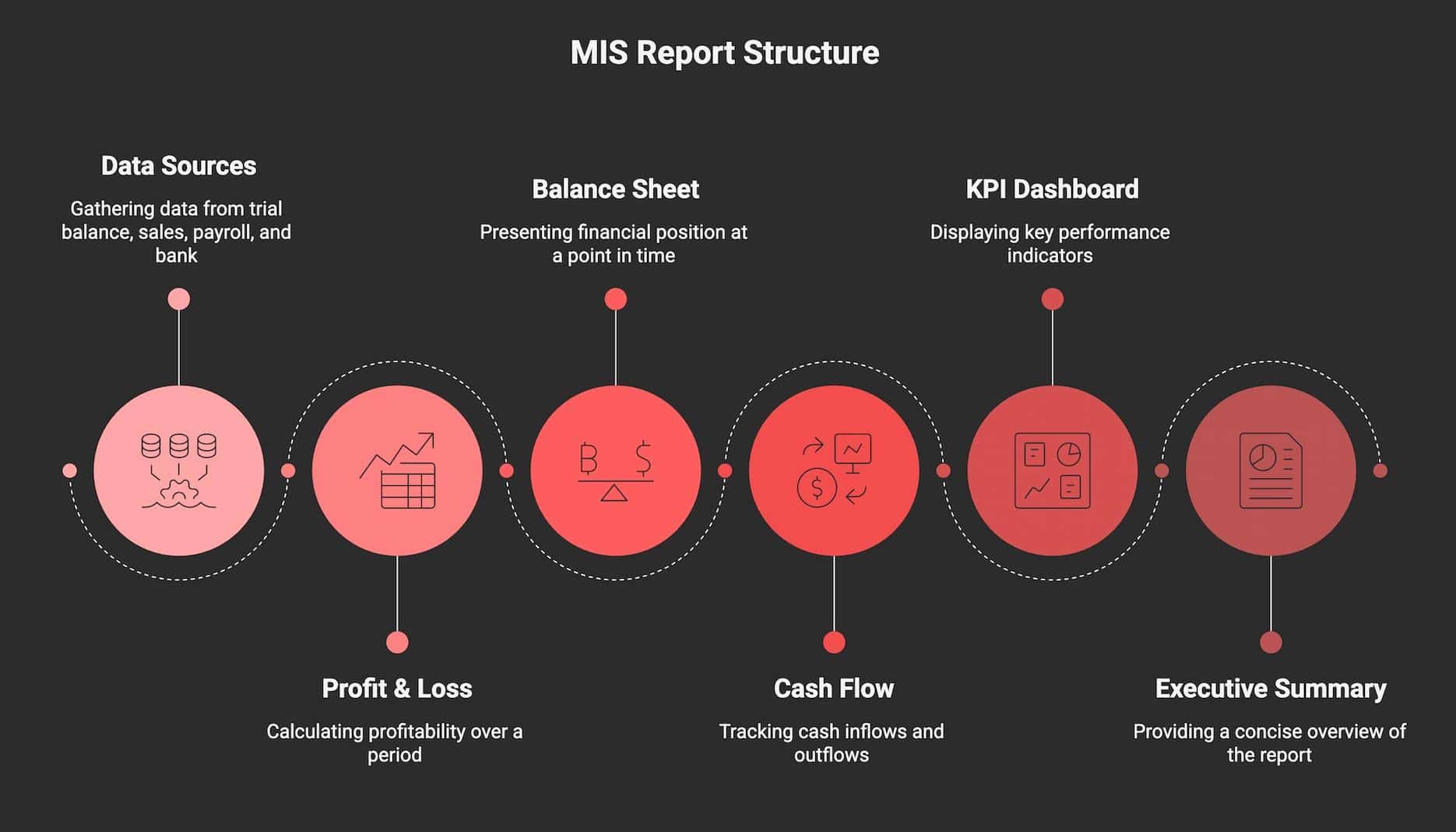An infographic detailing an MIS report structure, including data sources, profit and loss, balance sheet, cash flow, KPI dashboard, and an executive summary.
